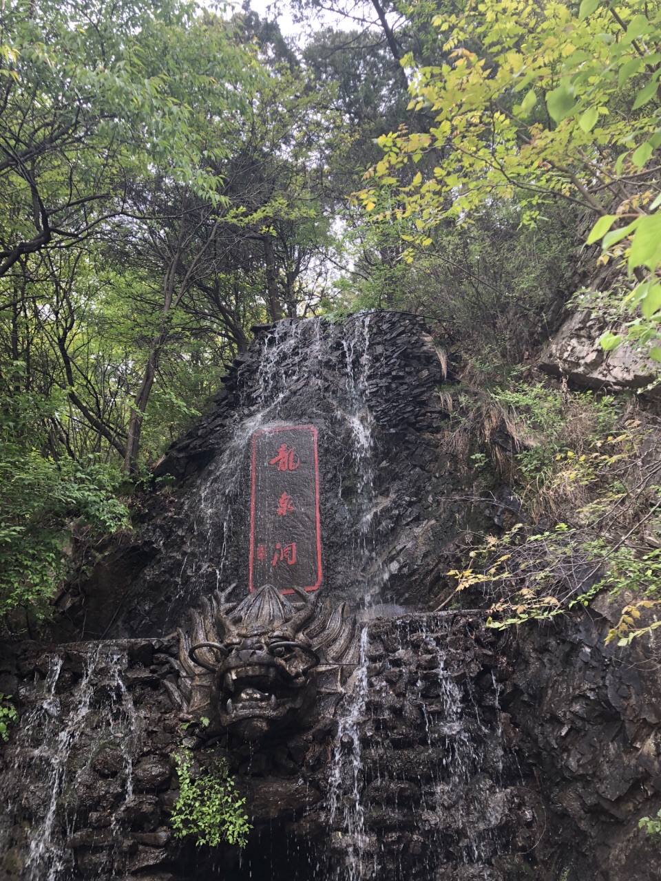 九龙山国家森林公园