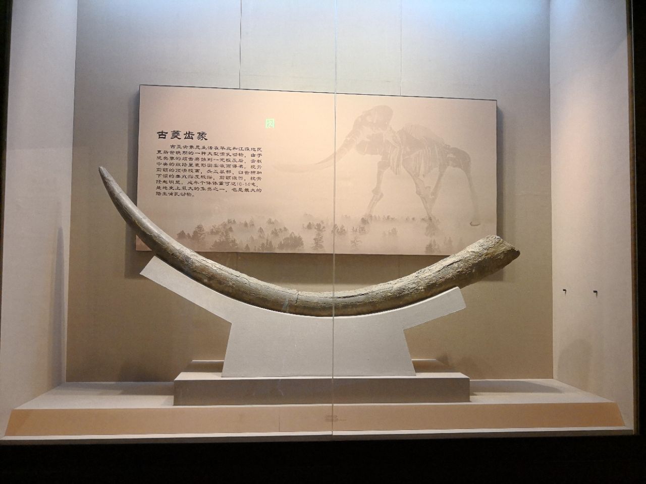 蚌埠市博物馆旅游景点攻略图
