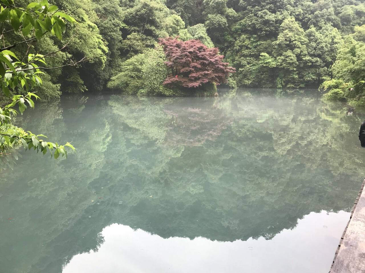 九溪烟树旅游景点攻略图