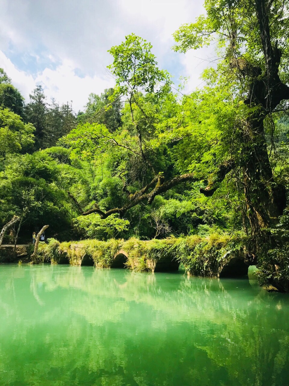 荔波小七孔景区