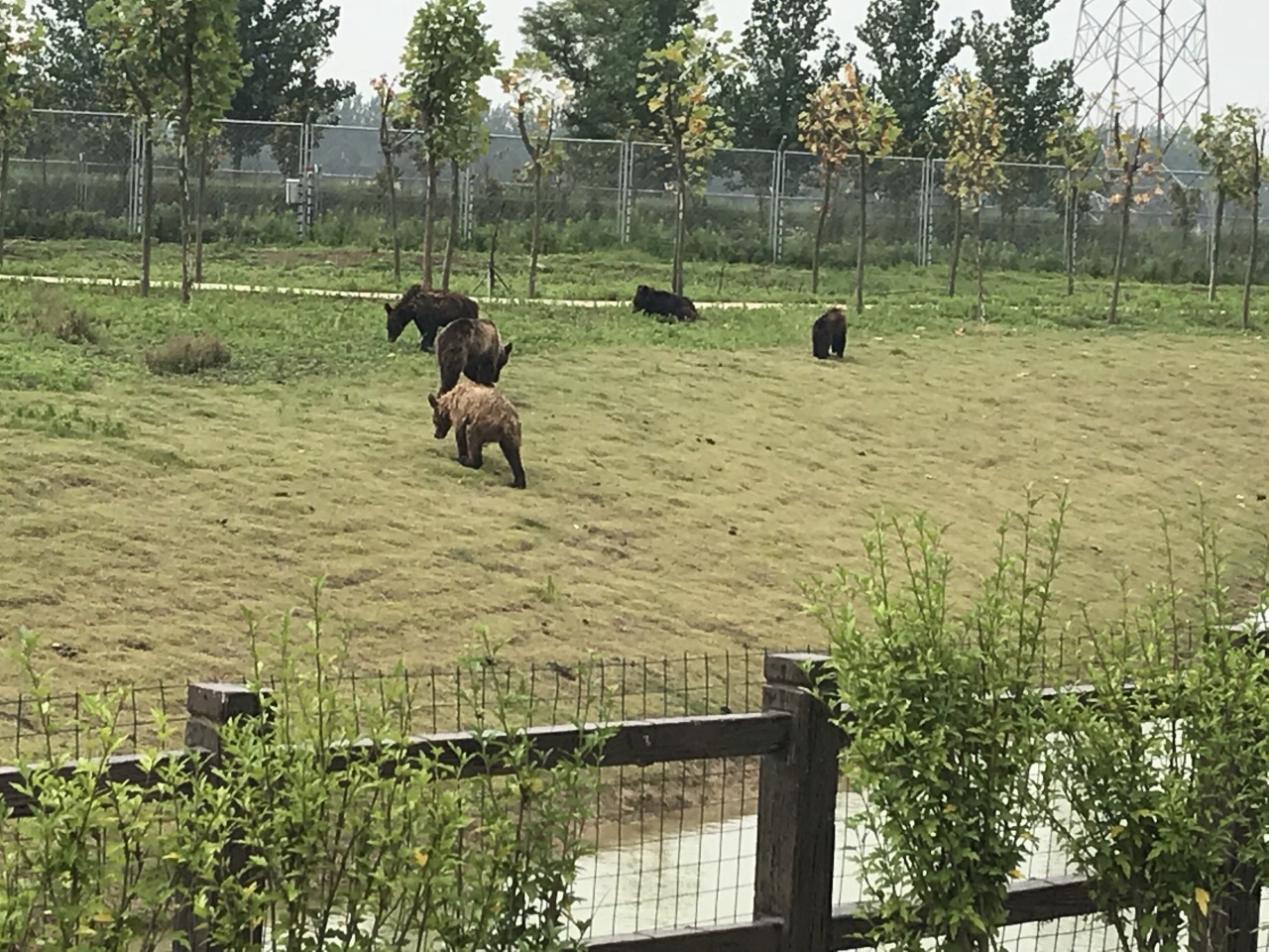 宿州野生动物园