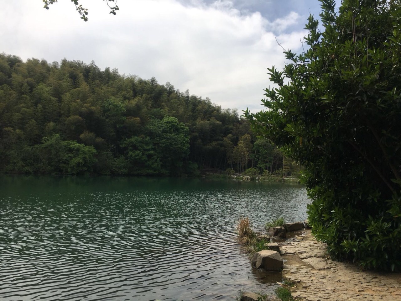 石塘竹海