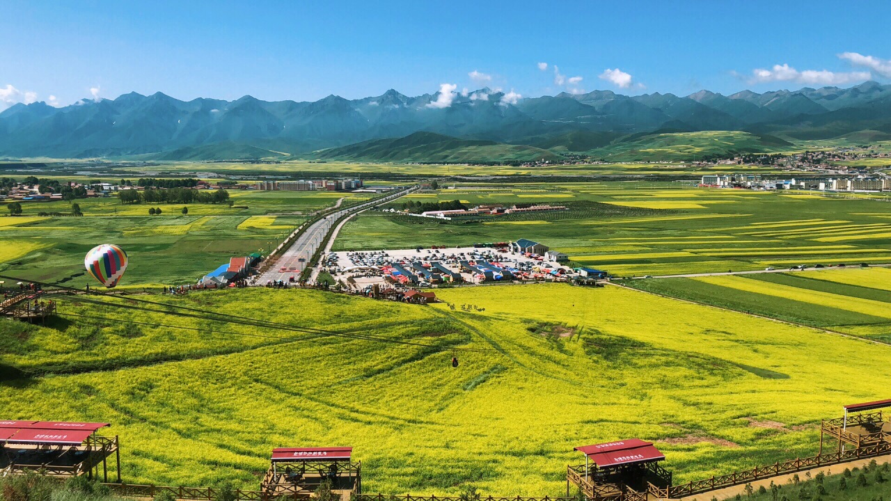 门源油菜花旅游景点攻略图