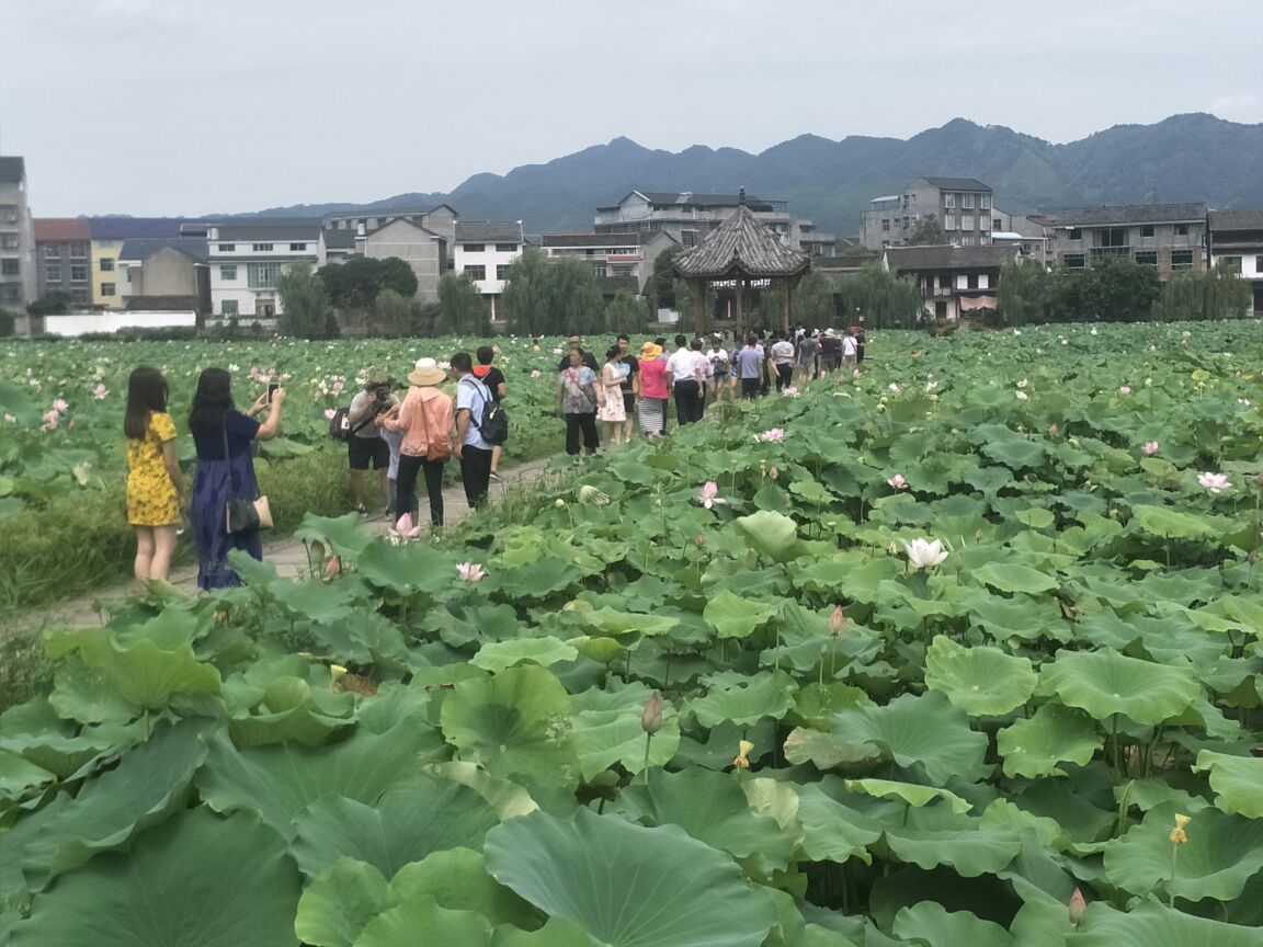 泸溪浦市古镇好玩吗,泸溪浦市古镇景点怎么样_点评