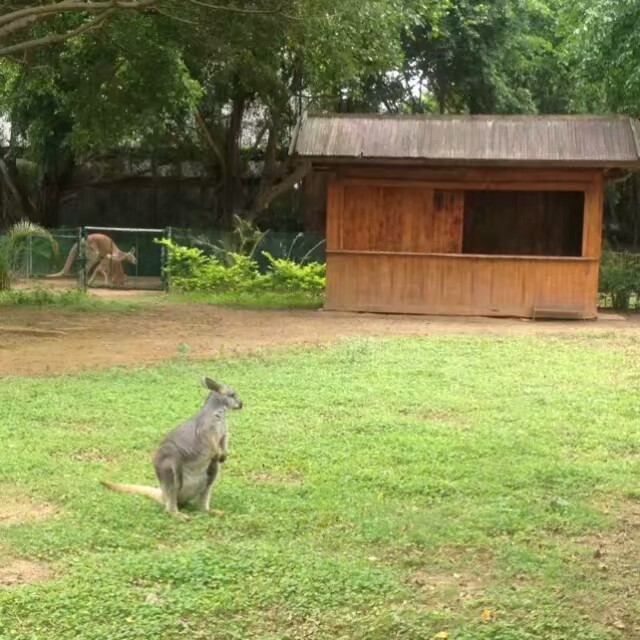 南宁动物园