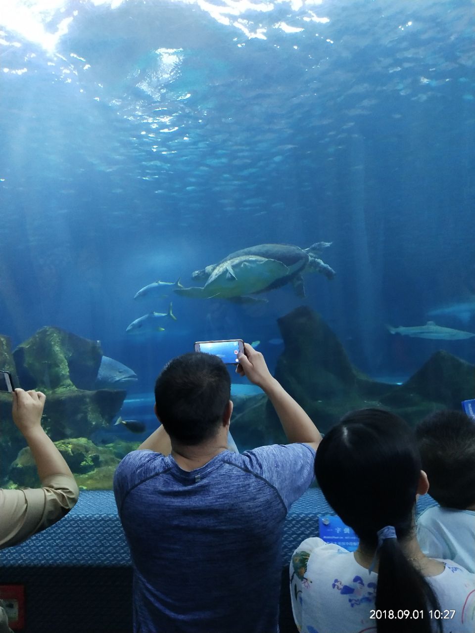长沙海底世界旅游景点攻略图