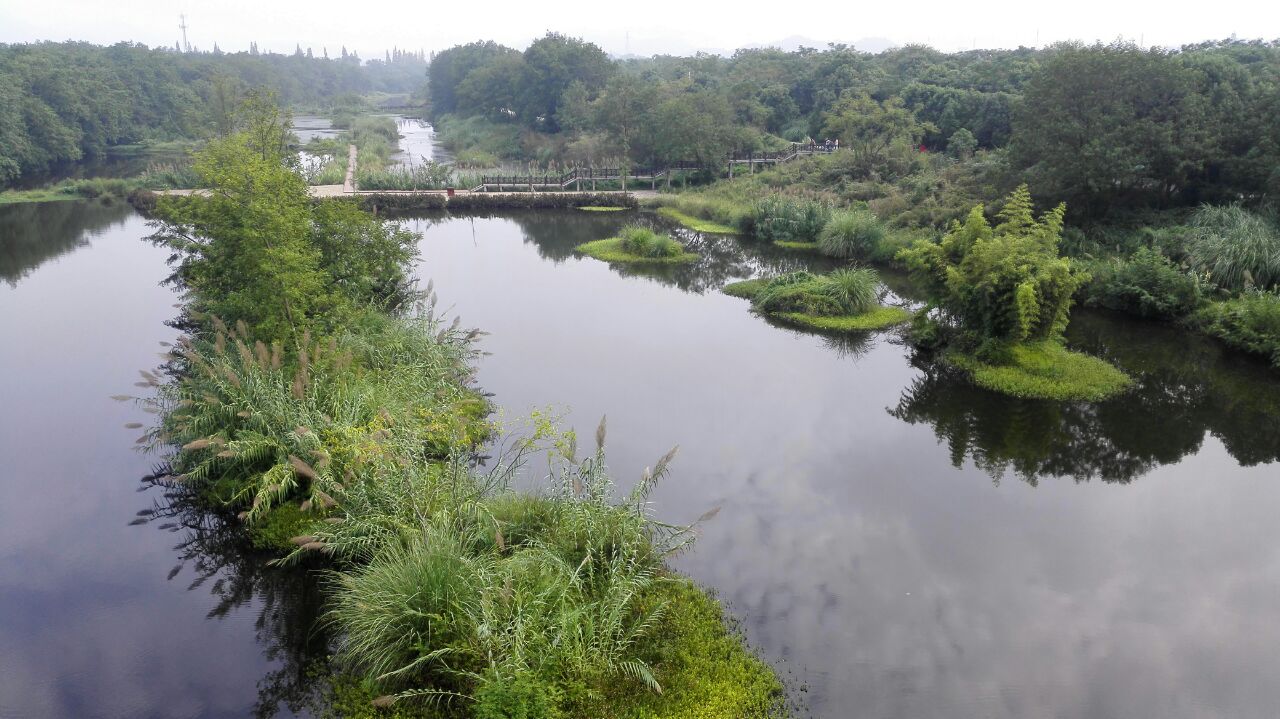 丽水九龙湿地攻略,丽水九龙湿地门票/游玩攻略/地址/图片/门票价格【
