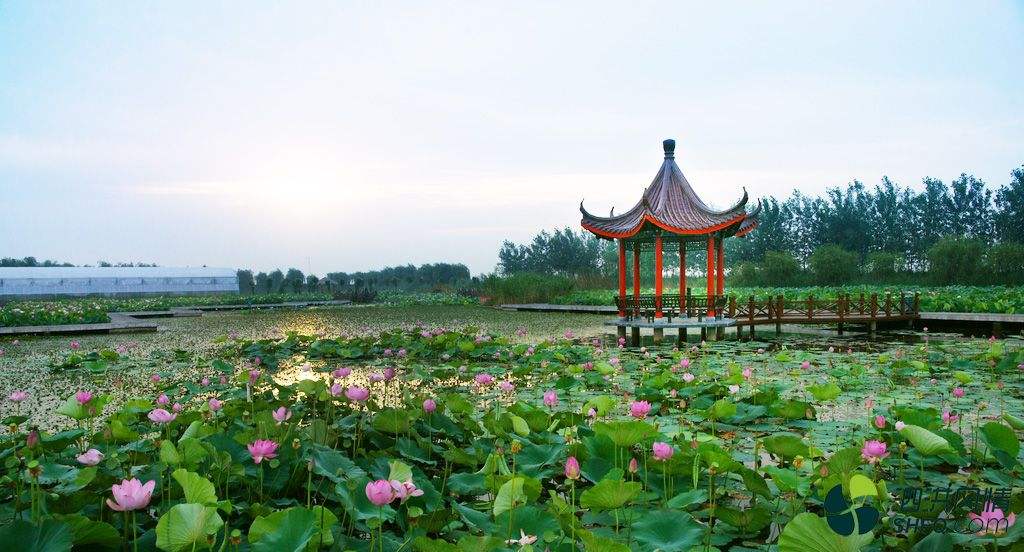 泗洪泗洪洪泽湖湿地好玩吗,泗洪泗洪洪泽湖湿地景点样