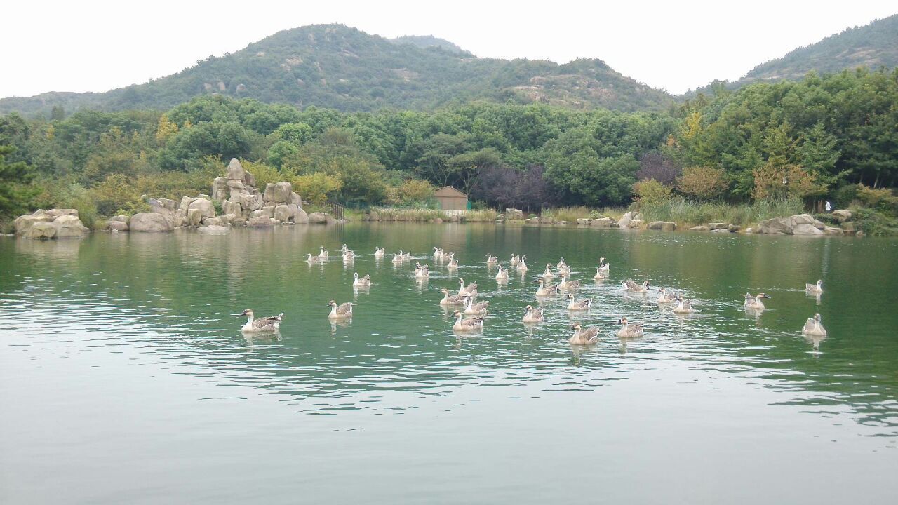 白马涧龙池景区