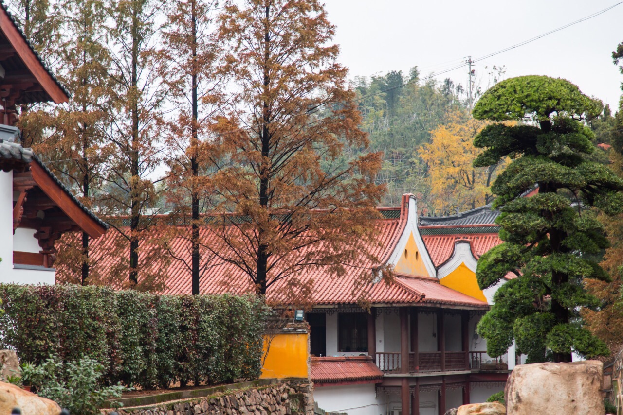 万寿禅寺