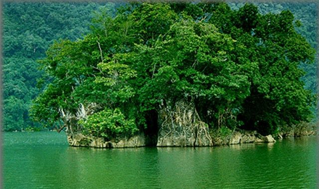 越南薄围国家公园是一个非常的巨大的野生性质公园,公园的内部都是大