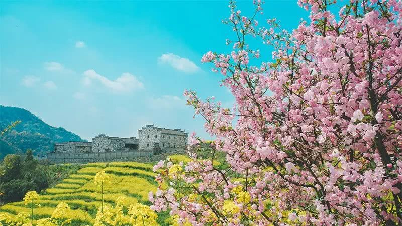4月最佳旅行地推荐,烟台西部明珠 推荐最适合春天出行的10个地方!