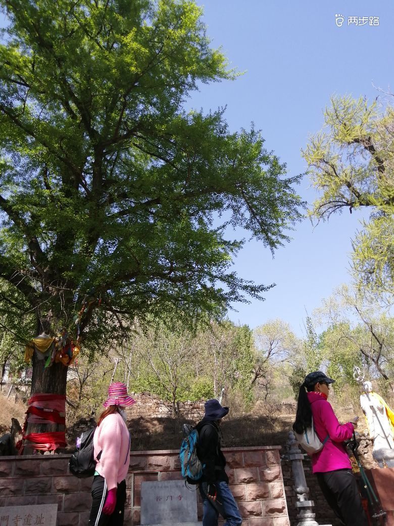 济南普门寺攻略,济南普门寺门票/游玩攻略/地址/图片/门票价格【携程