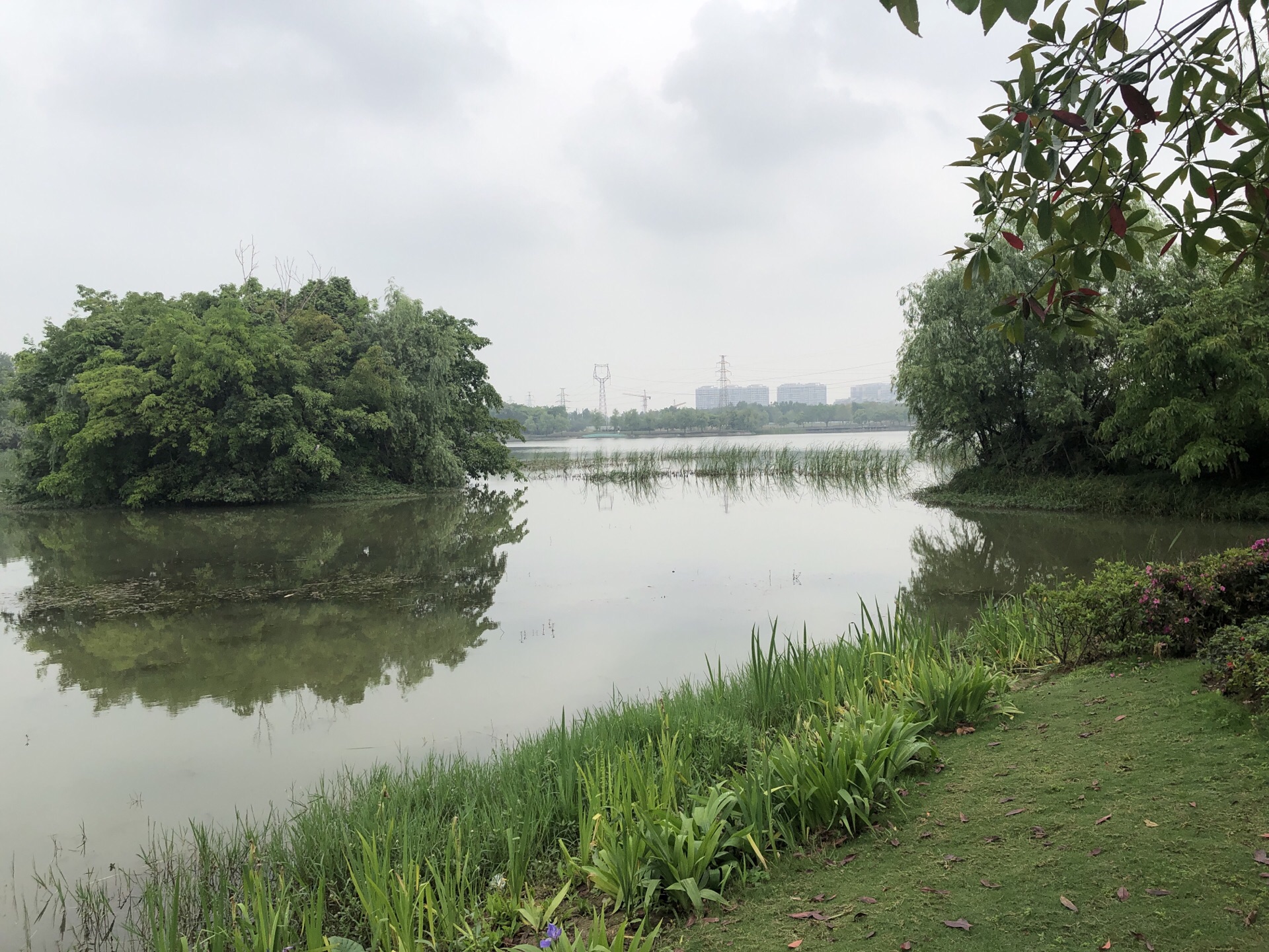 成都北湖生态公园里水面面积挺大湖水清澈透明湖中水草茂密还有许多人