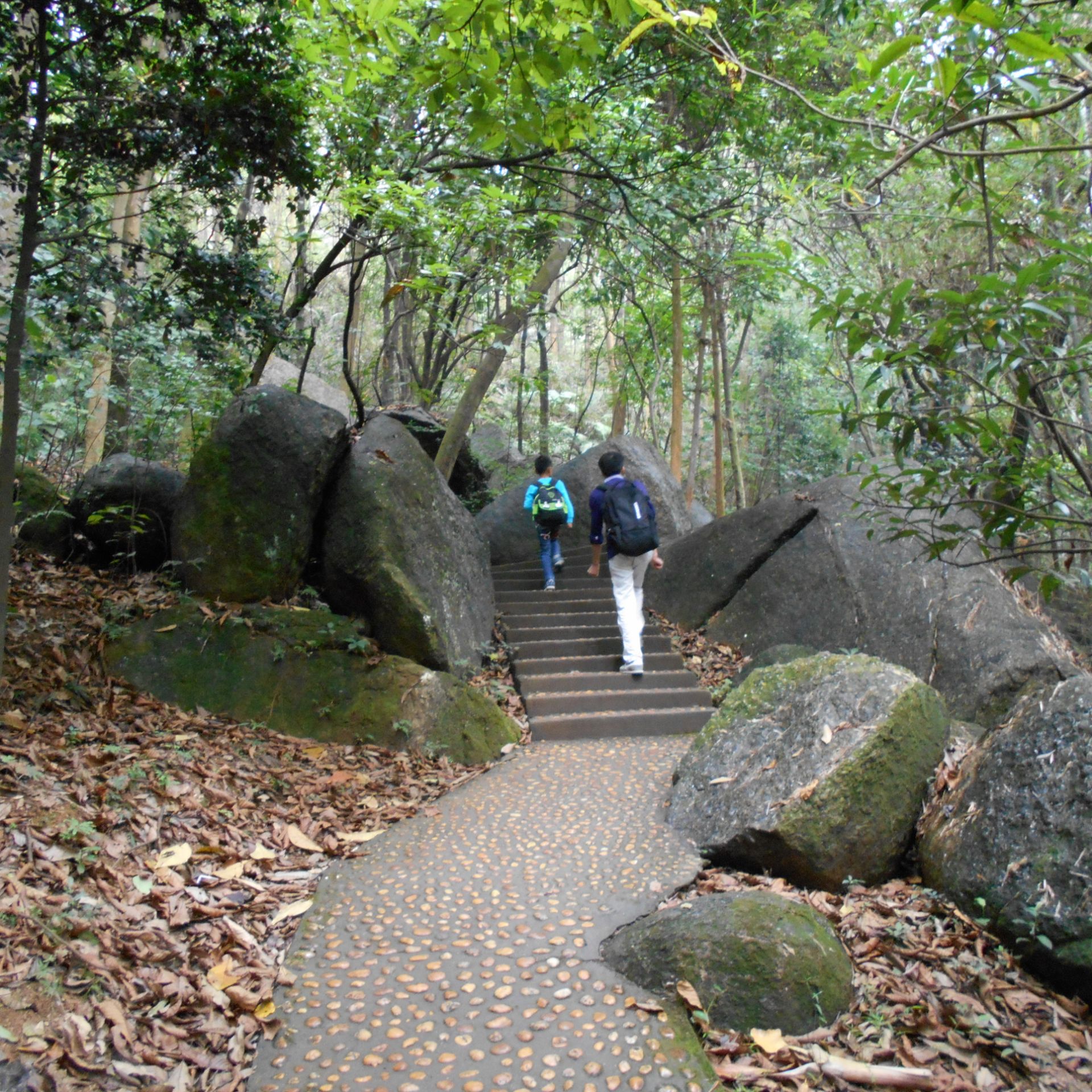 位于黄埔区南岗镇庙头村,当地人叫"飞龙山",官方名称为龙头山森林公园
