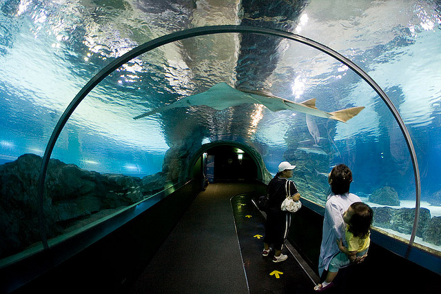 釜山水族馆