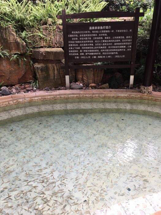 麒麟温泉spa