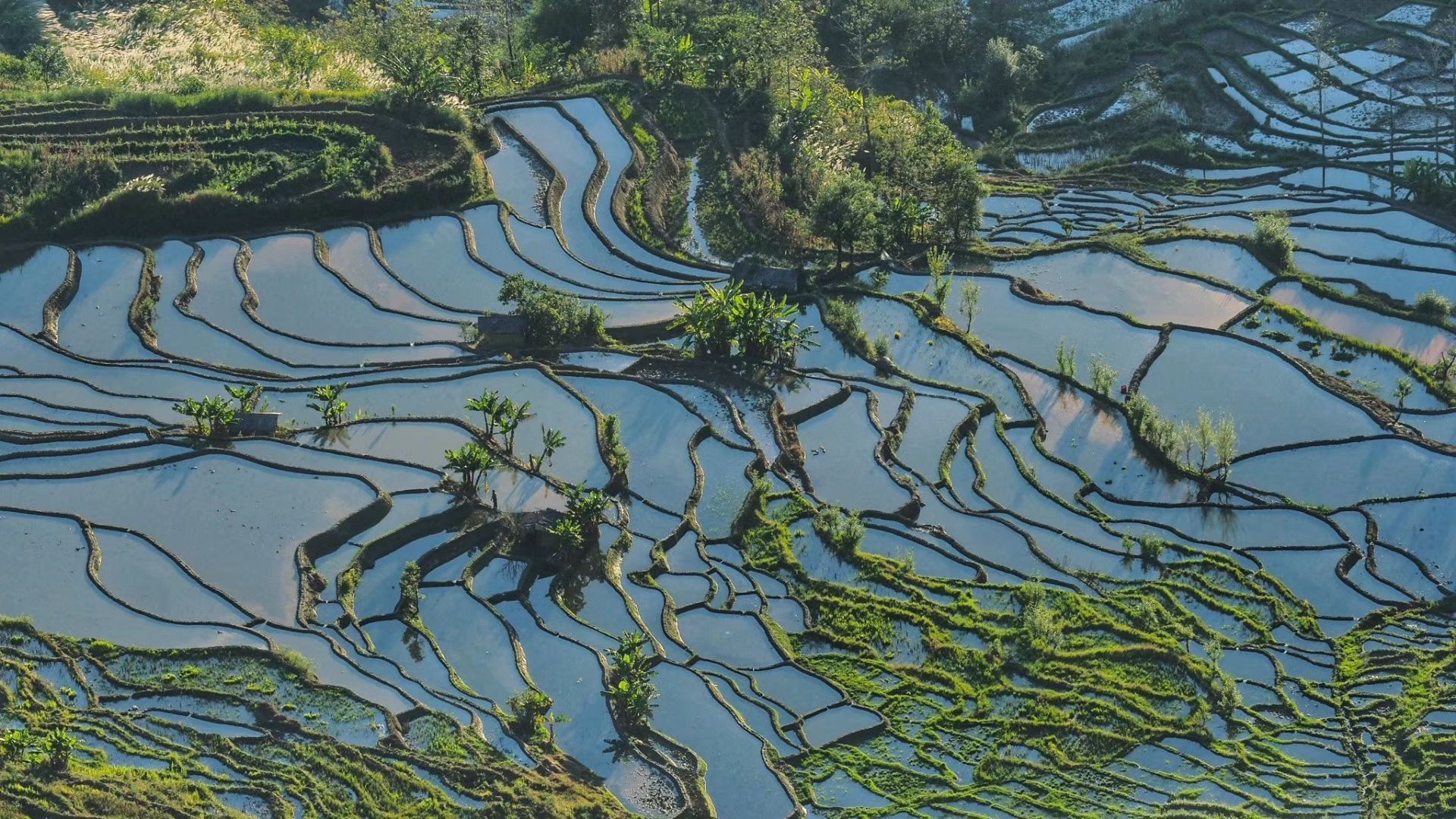 元阳梯田景区旅游景点攻略图