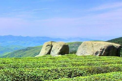 东钱湖福泉山景区