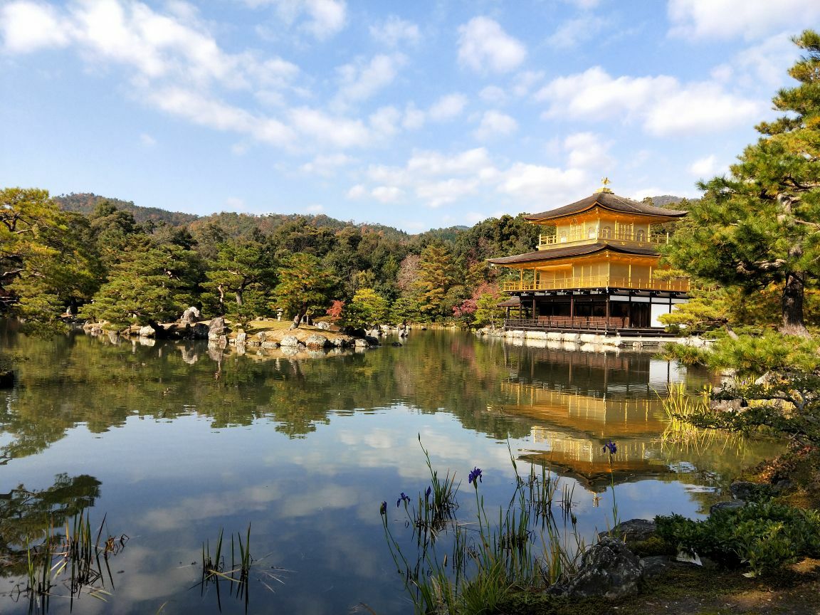 2019金阁寺_旅游攻略_门票_地址_游记点评,京都旅游