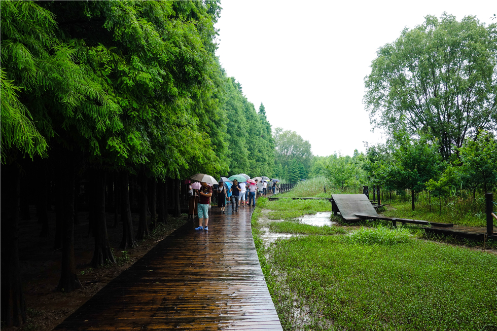 西沙湿地公园