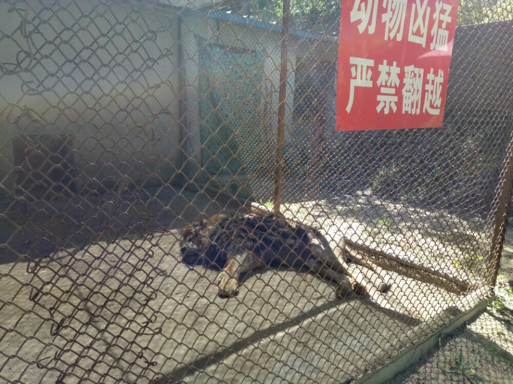 八达岭野生动物世界