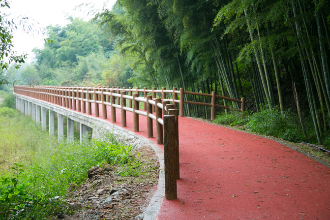 长兴唯一一个入围浙江森林特色小镇创建名单的乡镇(街道,园区),川步村