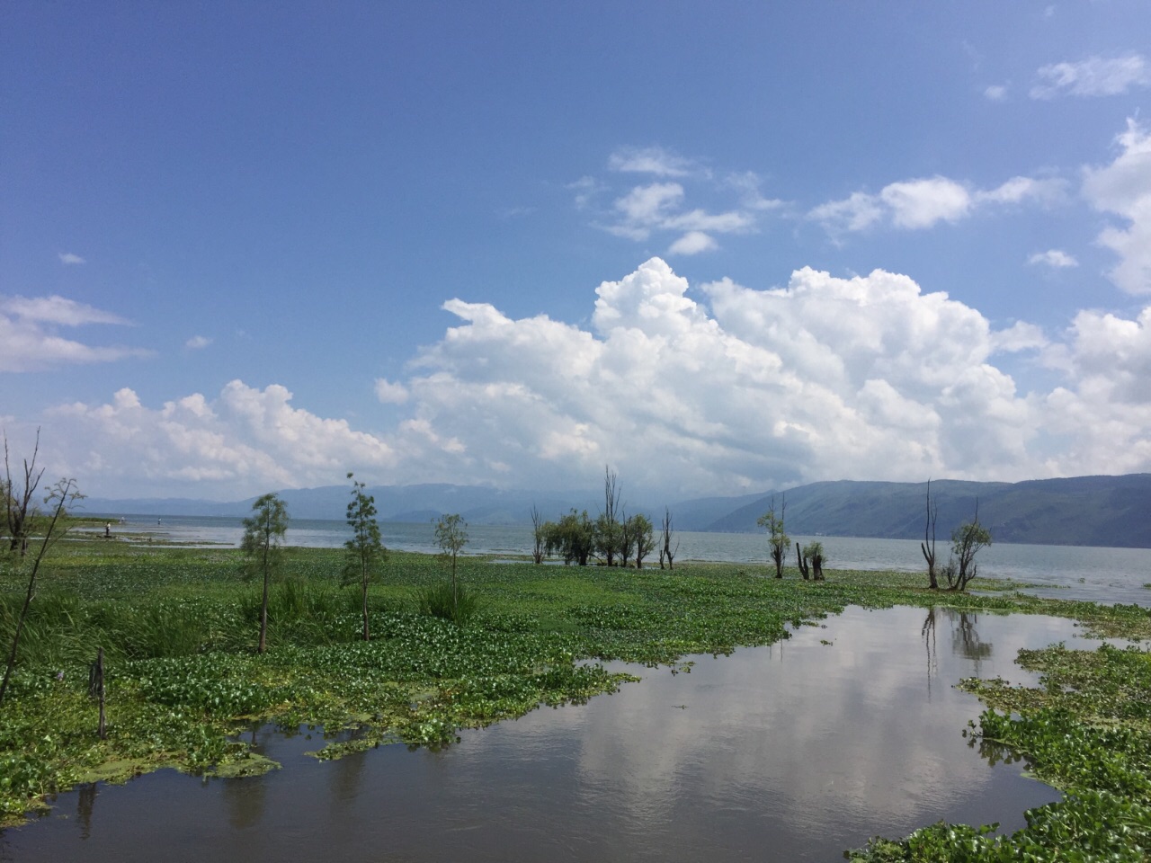 洱海旅游景点攻略图