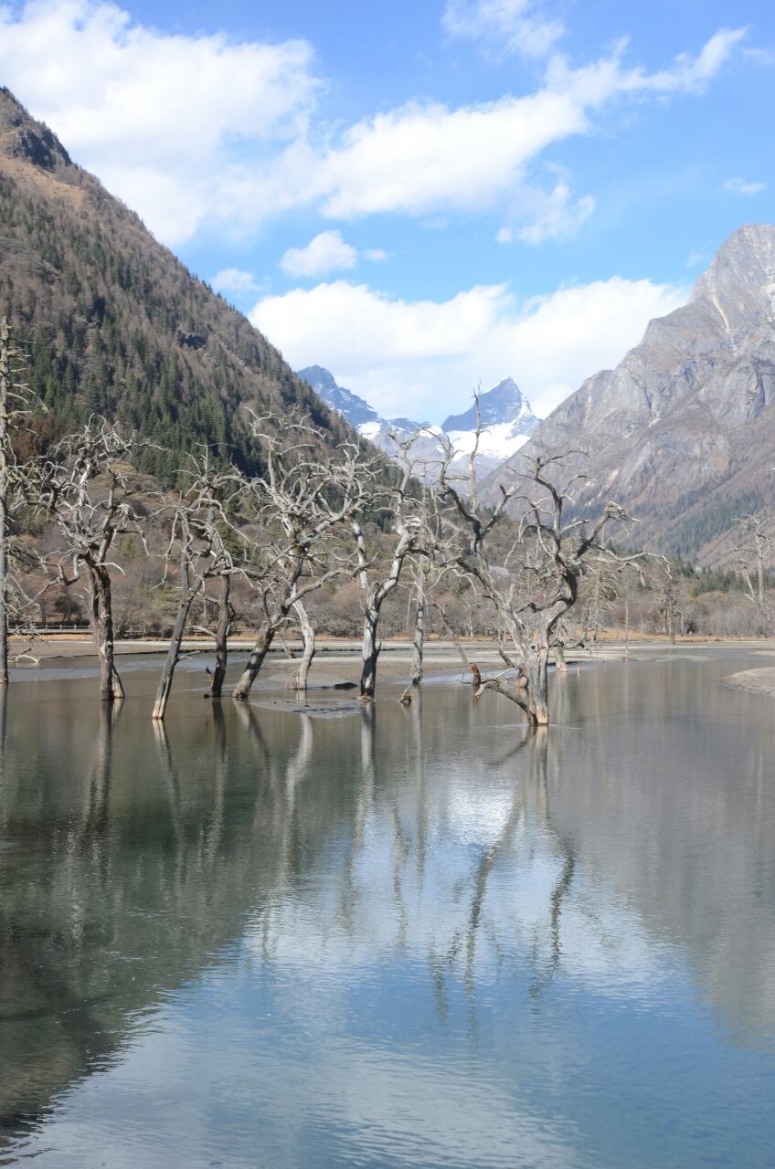 阿坝双桥沟好玩吗,阿坝双桥沟景点怎么样_点评_评价