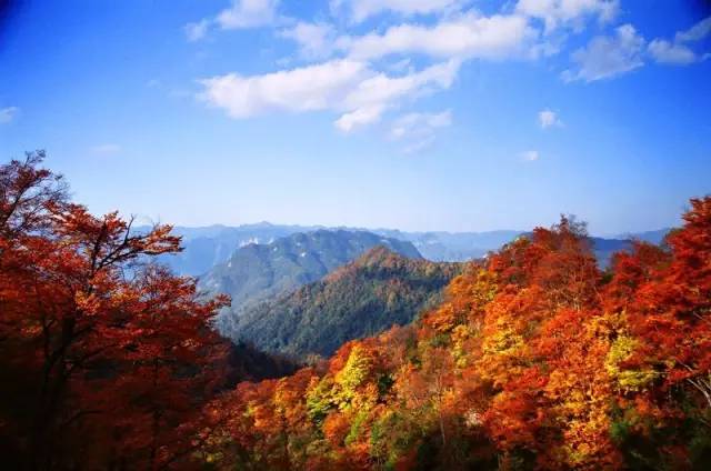 光雾山景区(桃园景区)