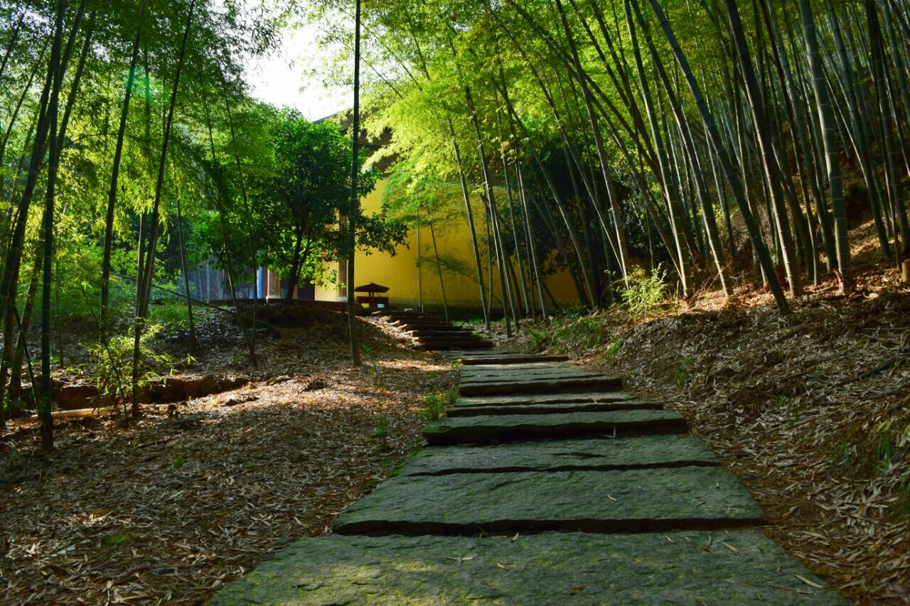【携程攻略】绍兴大香林景点,大香林景区,绍兴人免费
