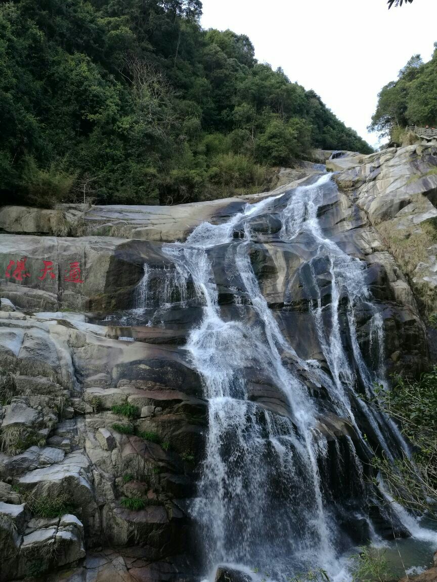 武平梁野山自然保护区攻略,武平梁野山自然保护区门票/游玩攻略/地址