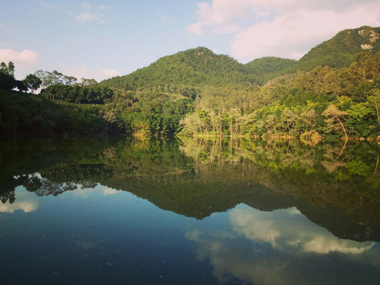 雁南飞茶田景区