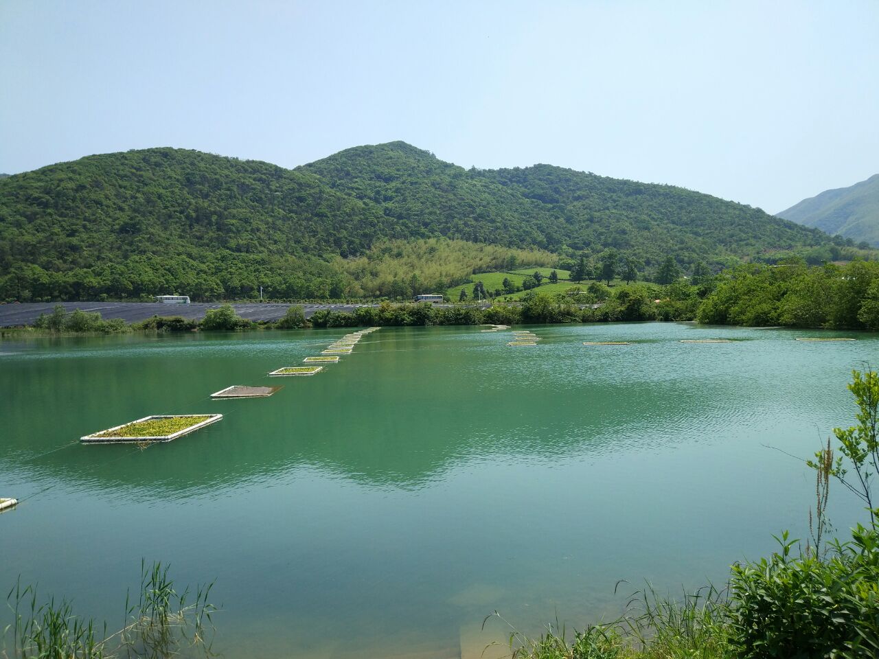 龙池山是江苏宜兴郊区的一个山区林场,附近还有龙池村,我们在龙池山