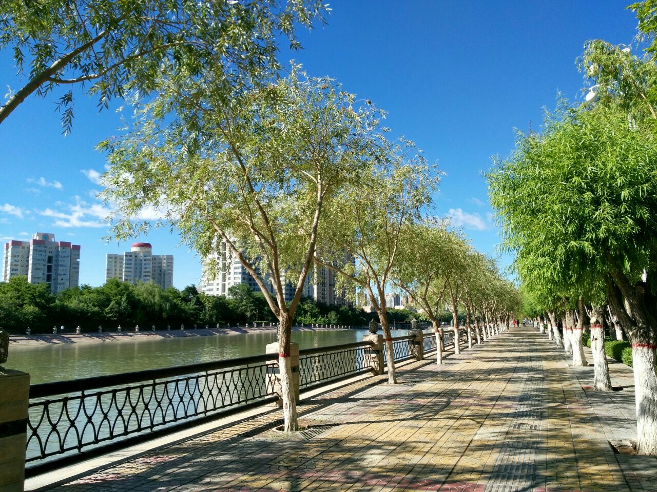 库尔勒孔雀河好玩吗,库尔勒孔雀河景点怎么样_点评