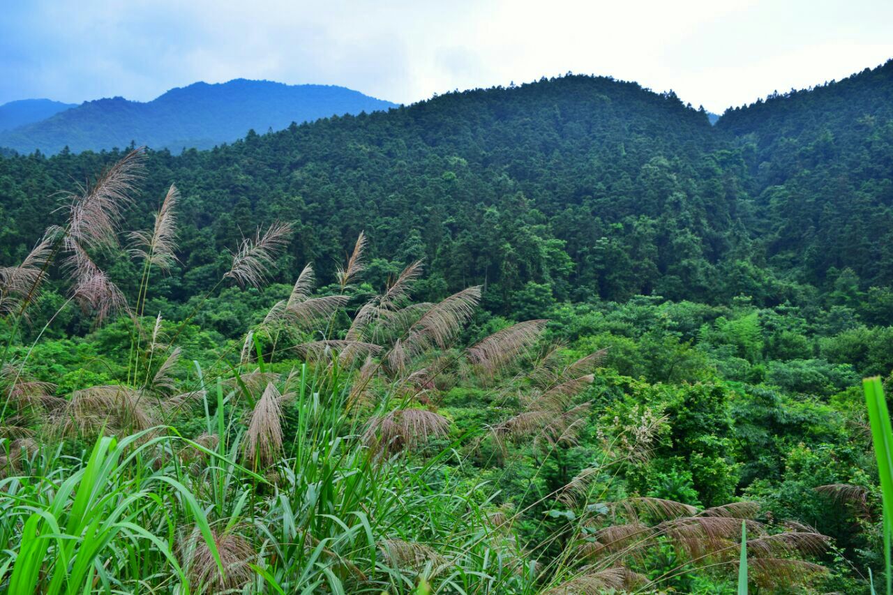 2020圣井山-旅游攻略-门票-地址-问答-游记点评,贵溪旅游旅游景点推荐