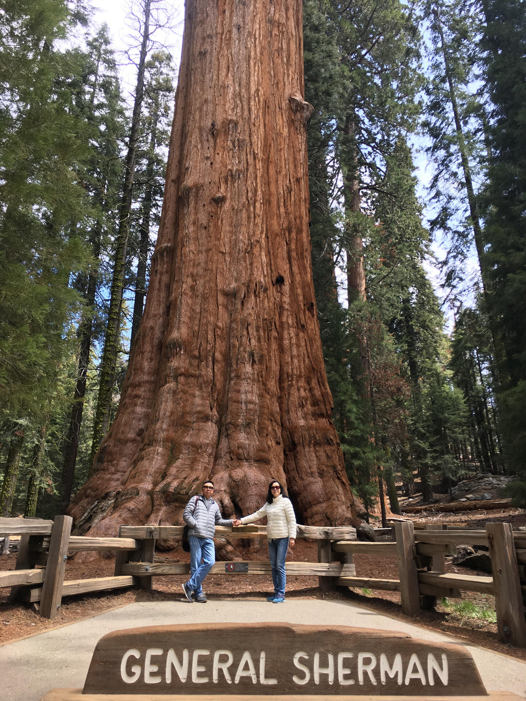 美景不分国界,2017再闯美西之:美国红杉树国家公园(sequoia national