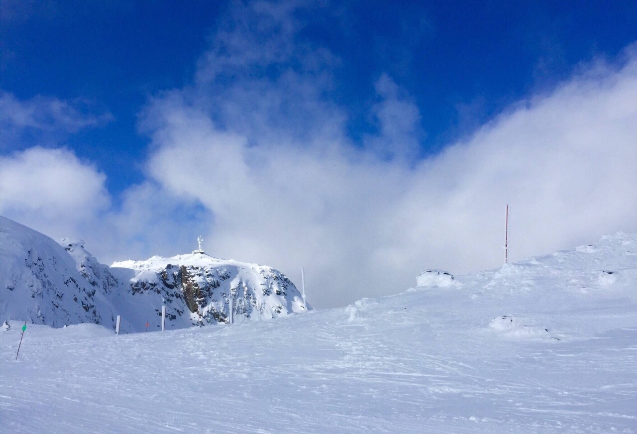 惠斯勒滑雪场