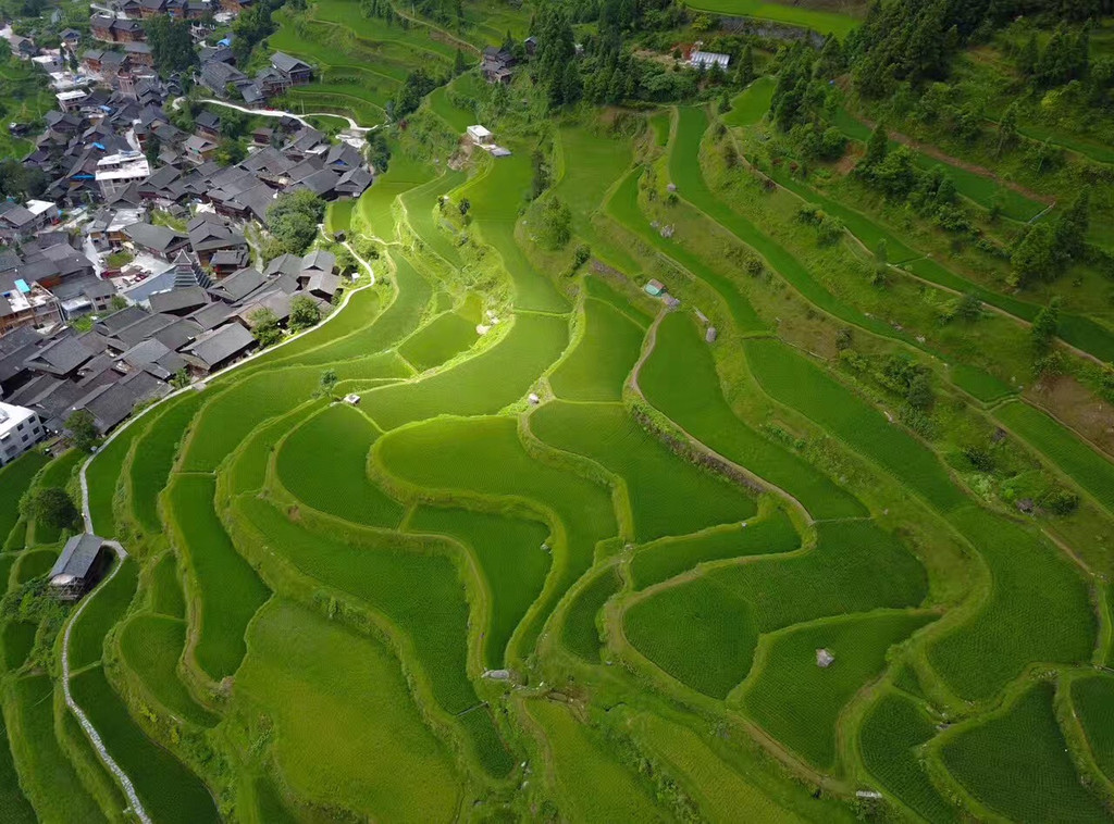 堂主邀您赏梯田