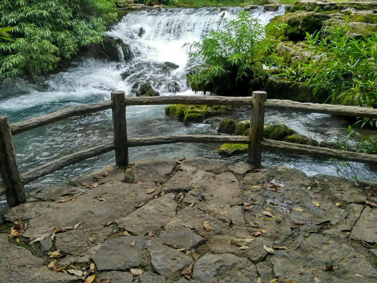 荔波茂兰国家级自然保护区旅游景点攻略图