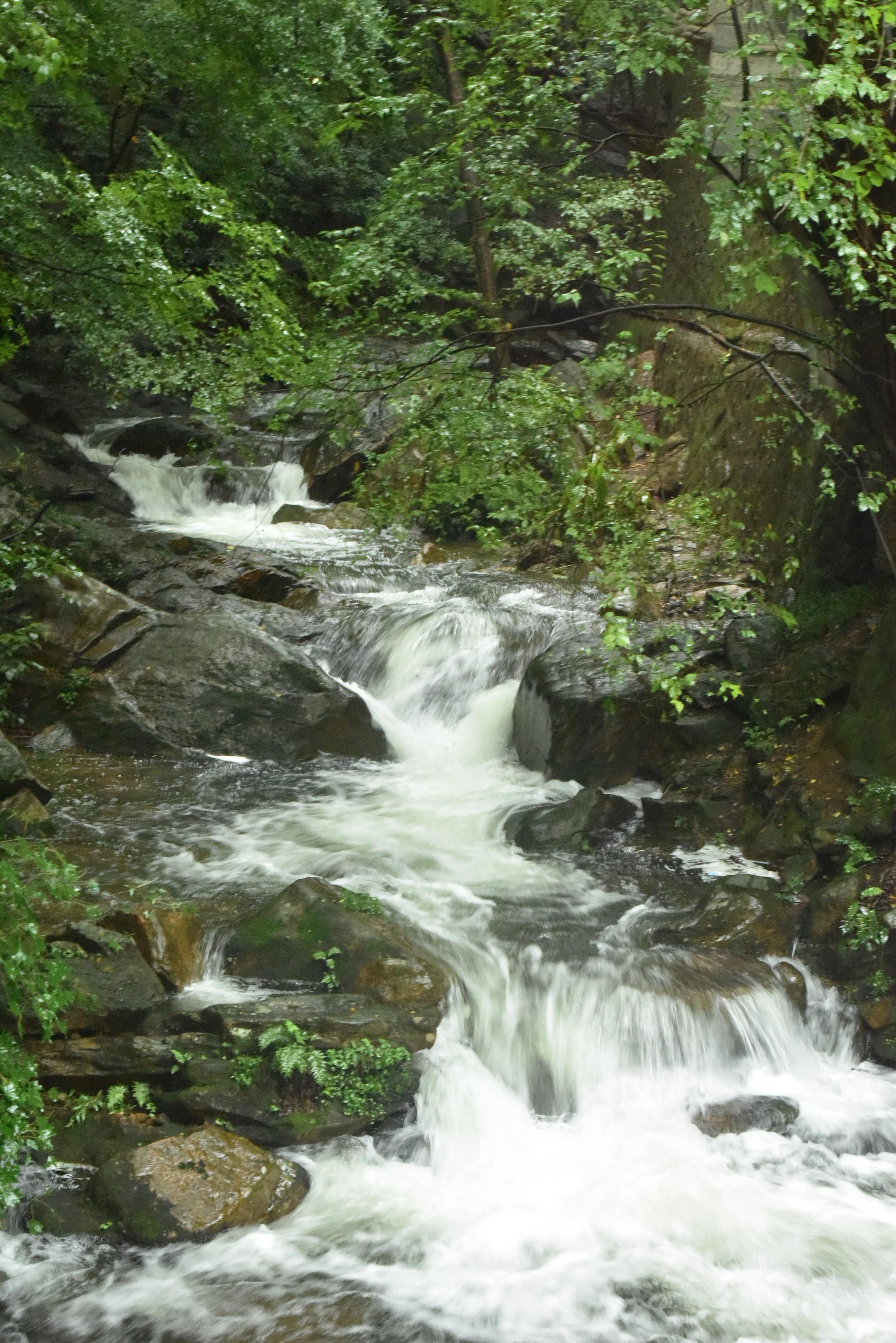 桐柏山淮源风景区