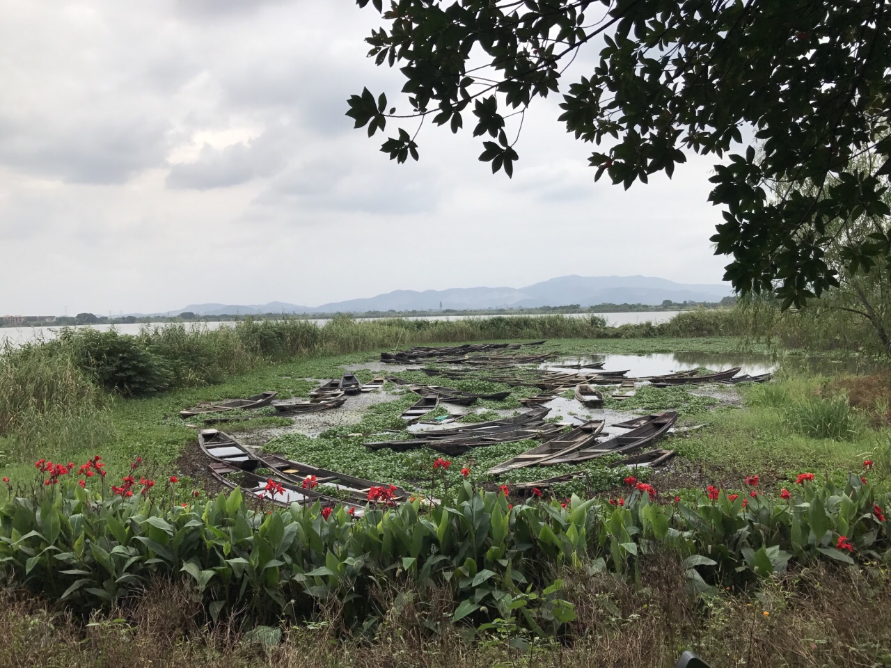 德清下渚湖湿地公园