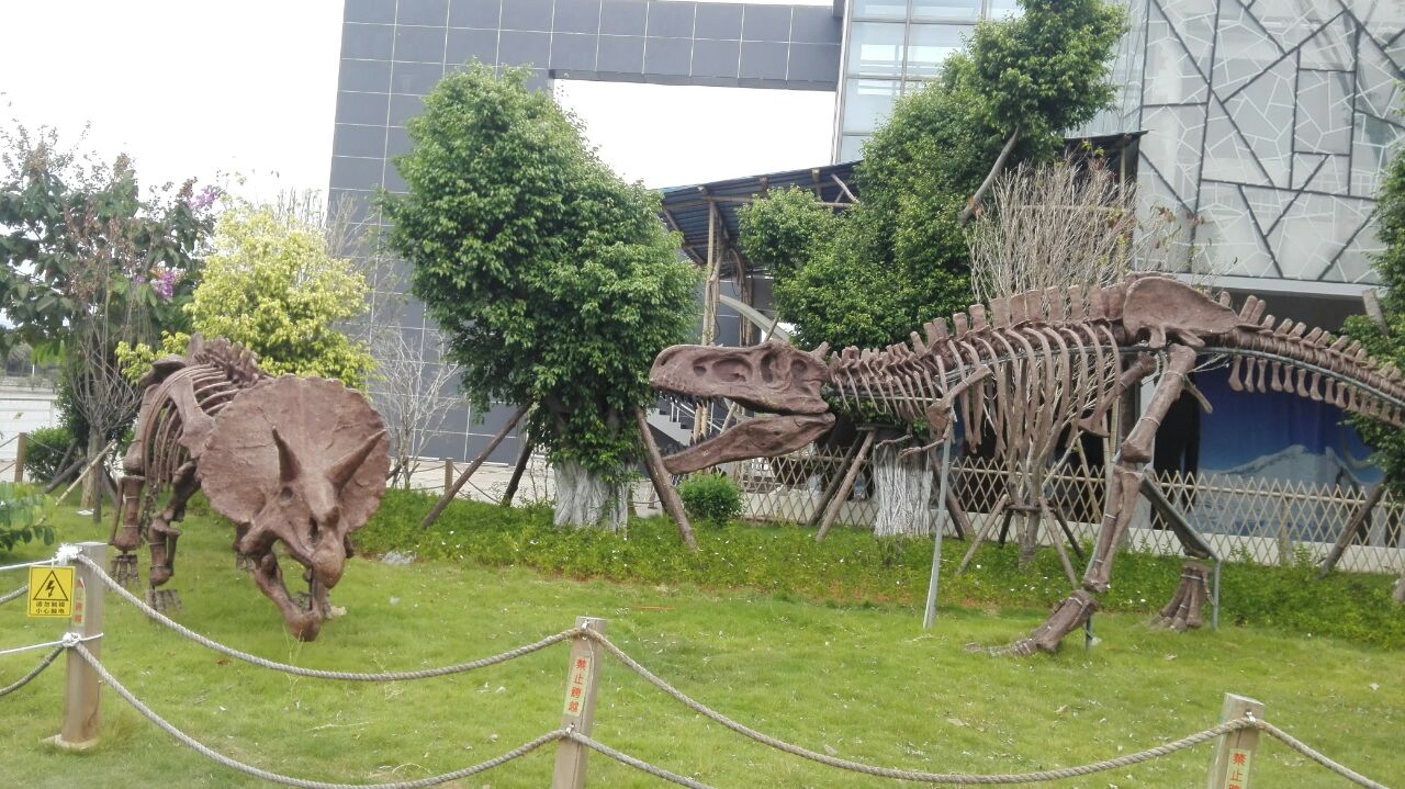 【携程攻略】厦门恐龙梦公园景点,我家崽很喜欢,喜欢