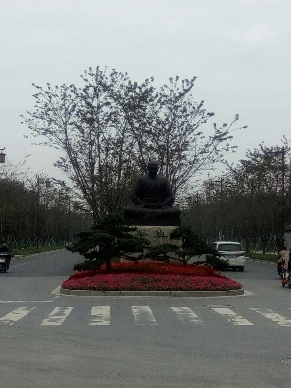 鉴真路樱花大道