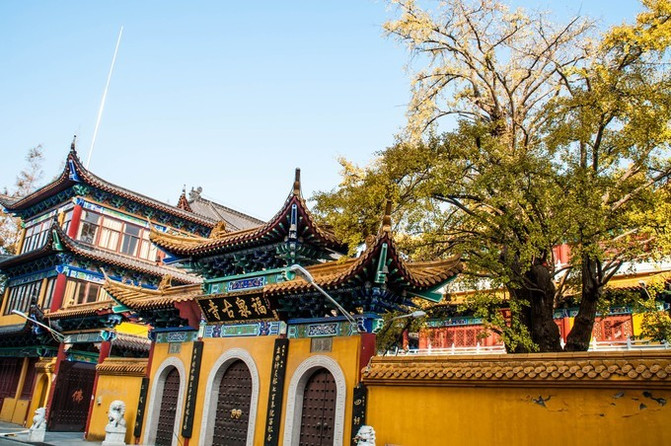 福泉寺,座落于南汇区惠南镇文体路上,按照上图走,到"文体路"就可看到