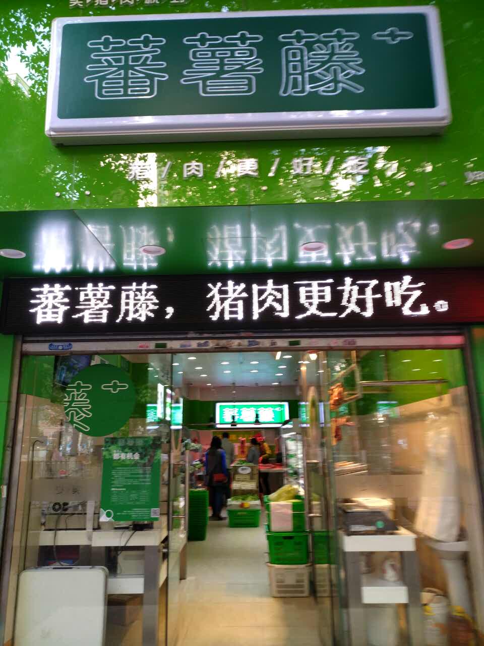 蕃薯藤