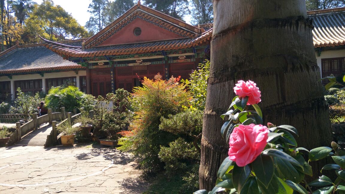 金殿公园