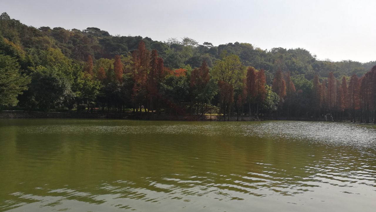 西樵山风景名胜区