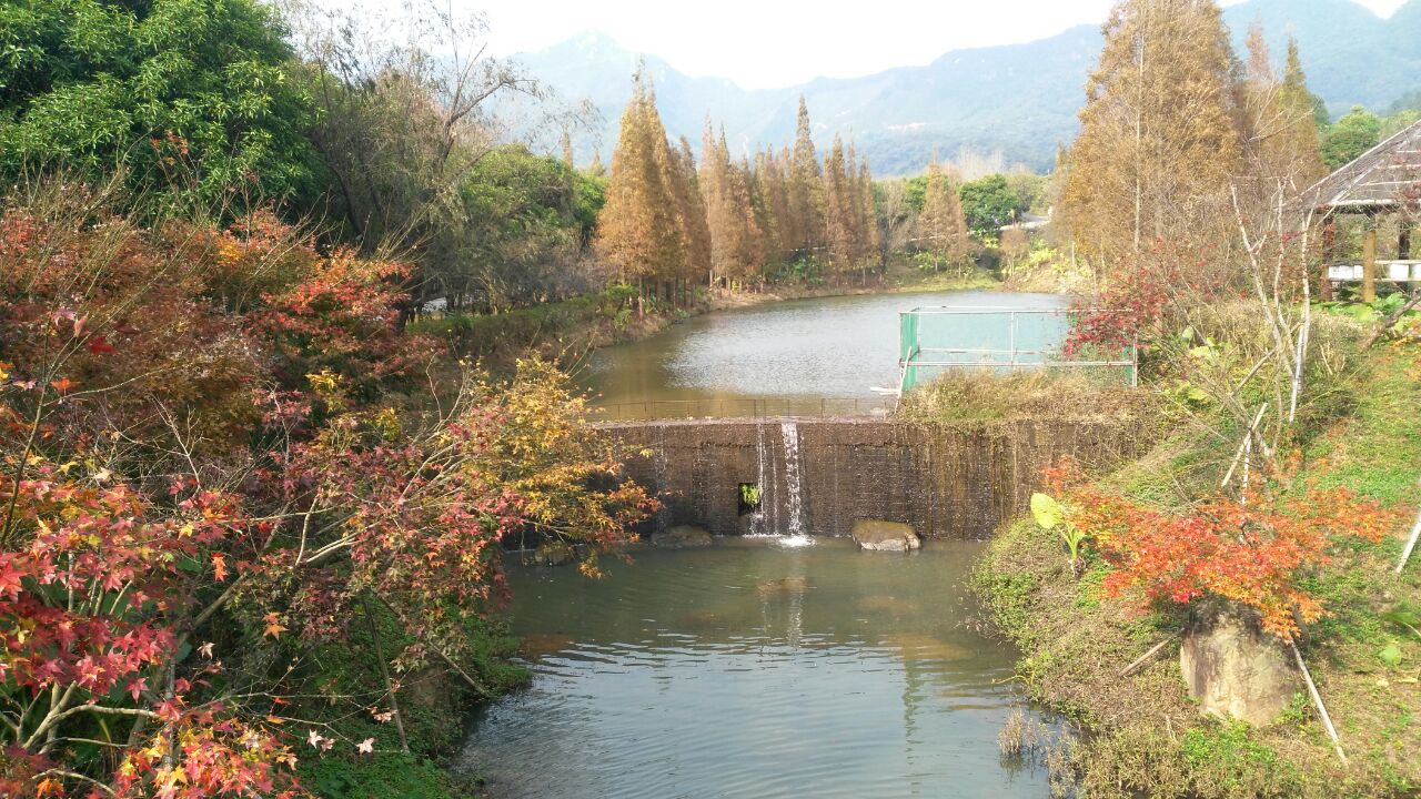 田野绿世界