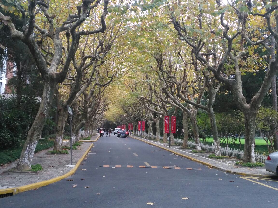 2019复旦大学_旅游攻略_门票_地址_游记点评,上海旅游